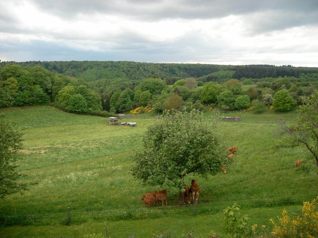 Landhaus Bad Bertrich Eksteriør billede