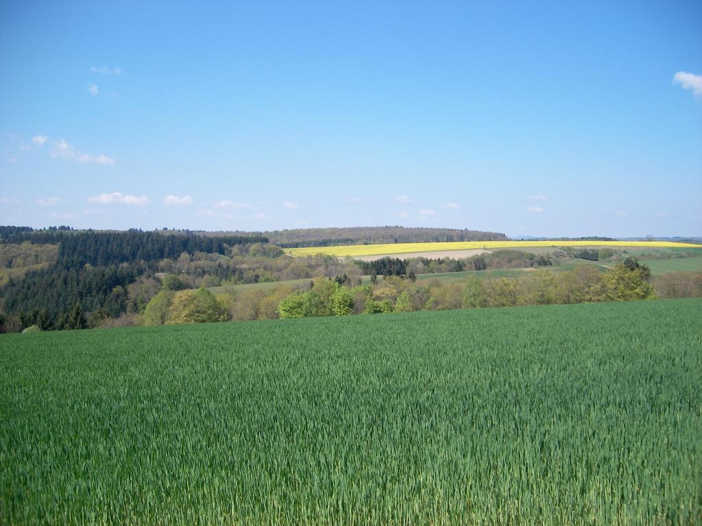 Landhaus Bad Bertrich Eksteriør billede