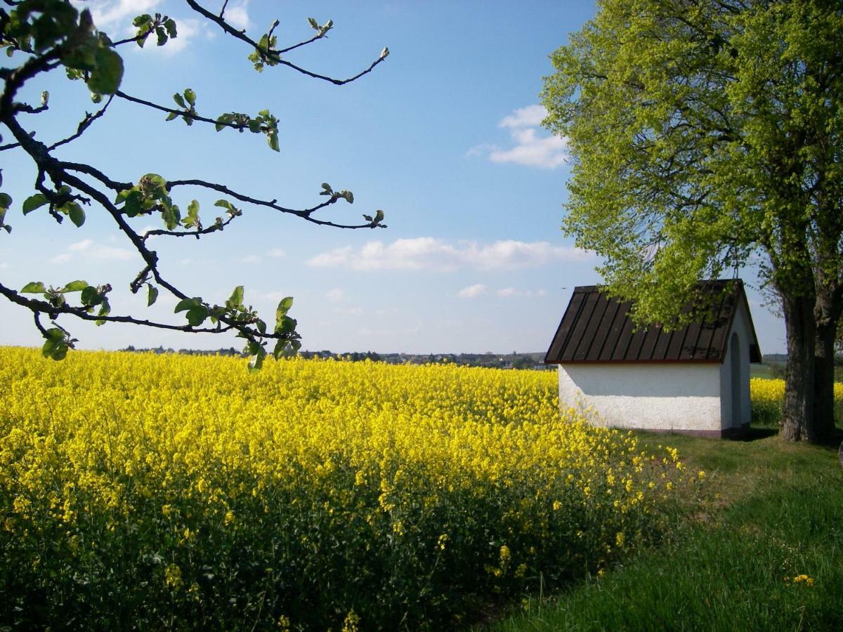 Landhaus Bad Bertrich Eksteriør billede